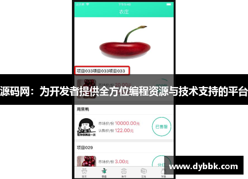 源码网：为开发者提供全方位编程资源与技术支持的平台