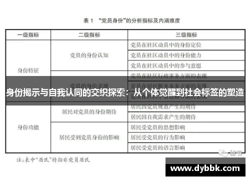 身份揭示与自我认同的交织探索：从个体觉醒到社会标签的塑造